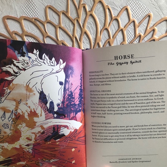 Spirit Animals Book - Picture 3 of 3